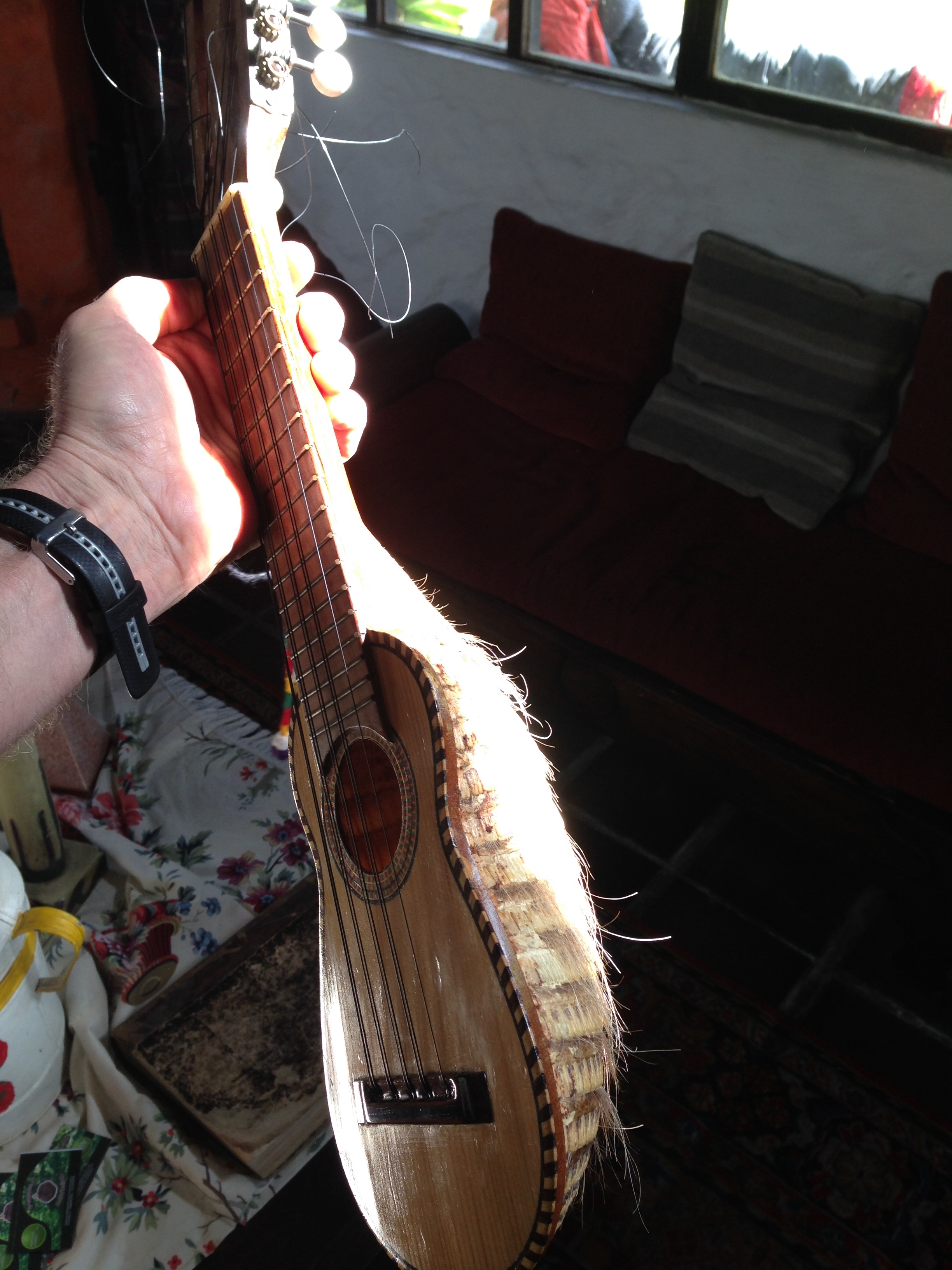 Charango: an instrument made from an armadillo’s shell.